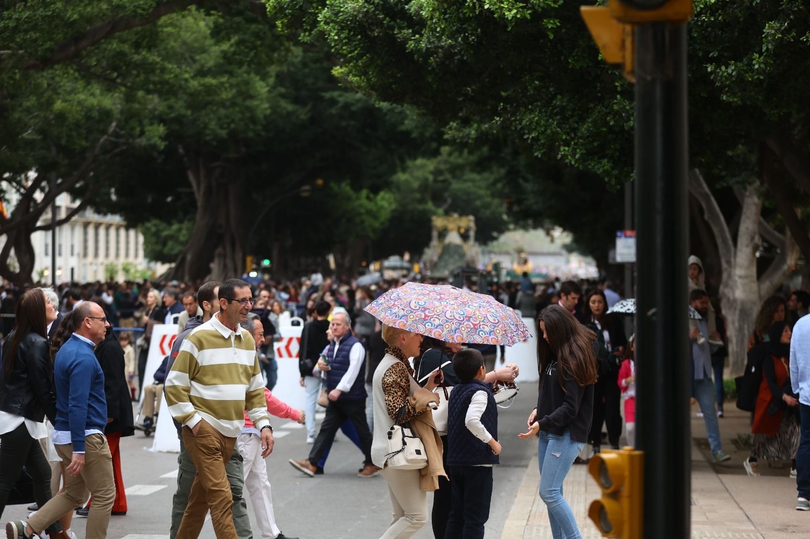 Paraguas en la Alameda Principal este Domingo de Ramos.
