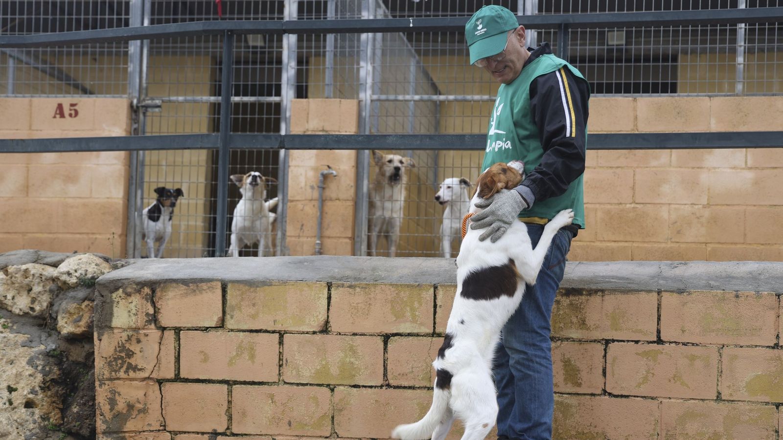 Un voluntario en la Protectora de Málaga