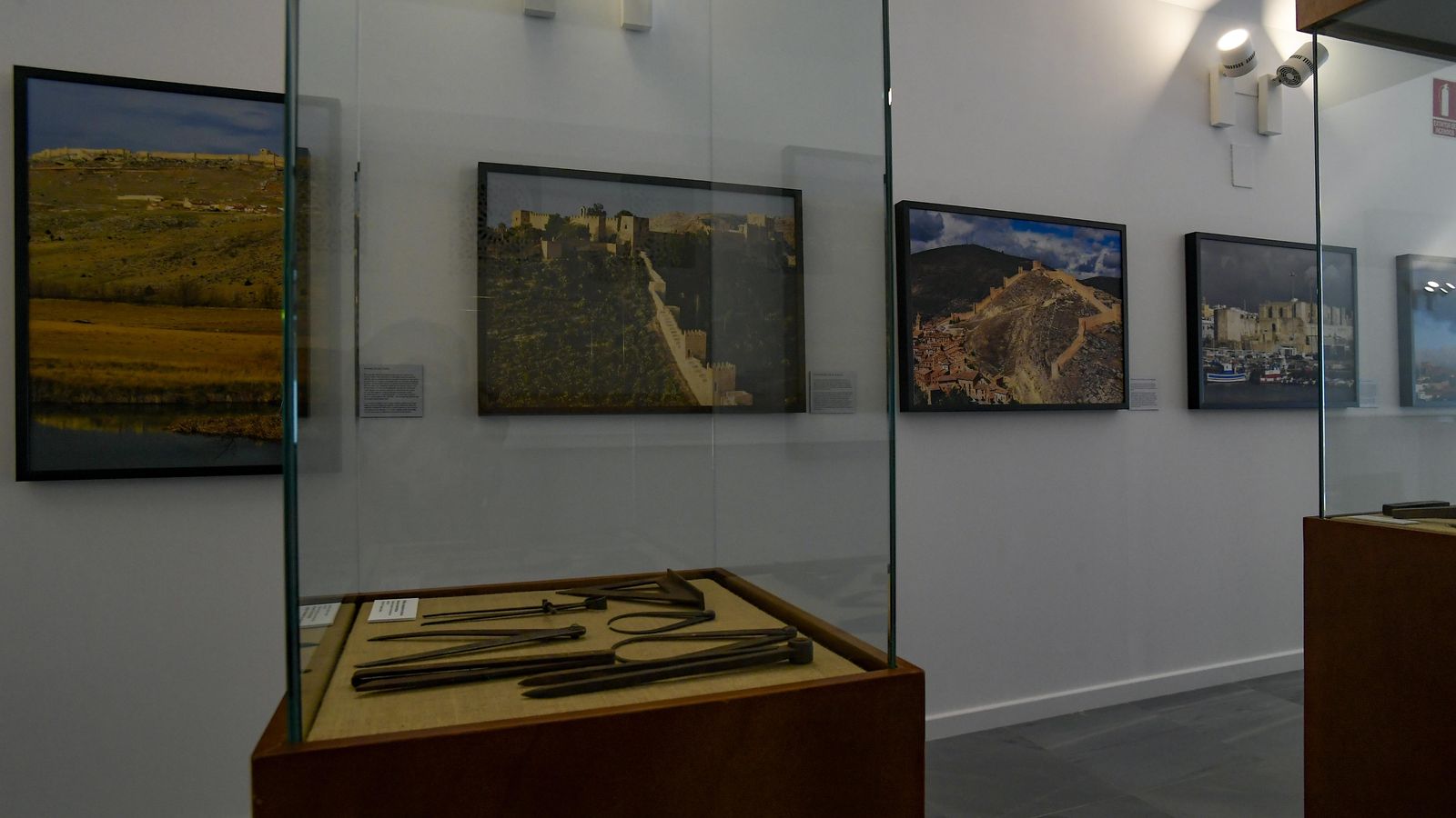 Otra imagen de la muestra