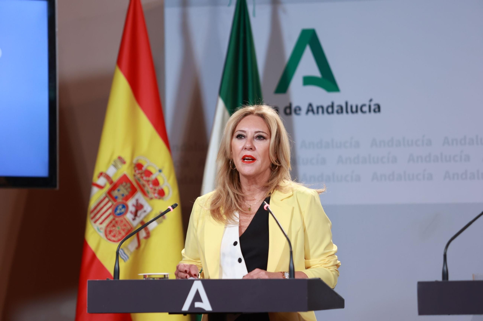 La consejera de Economía de la Junta, Carolina España