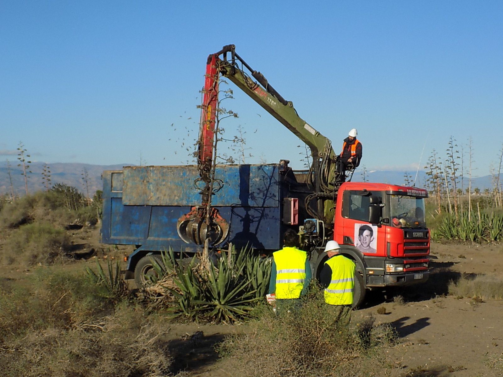 Trabajos de eliminación de las pitas.