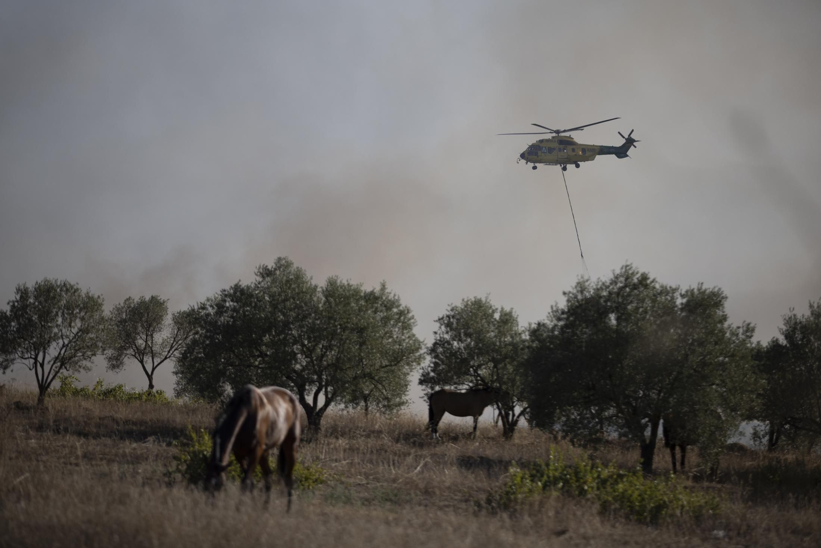 Imágenes del incendio de Bonares