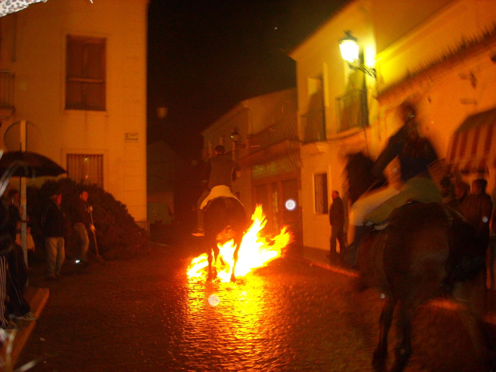 Las Luminarias de San Antón