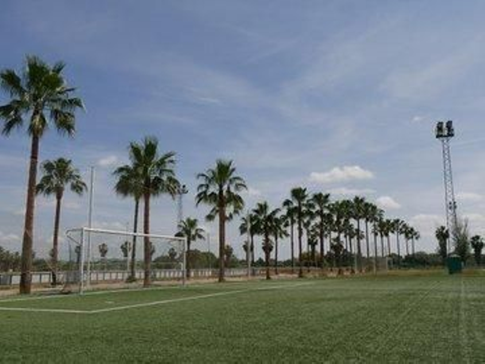 Imagen del campo pequeño de la Ciudad Deportiva, con las palmeras limpias al fondo.