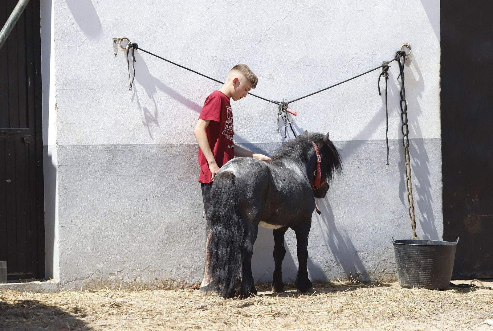 Ambiente en la aldea del Rocío en la jornada del sábado