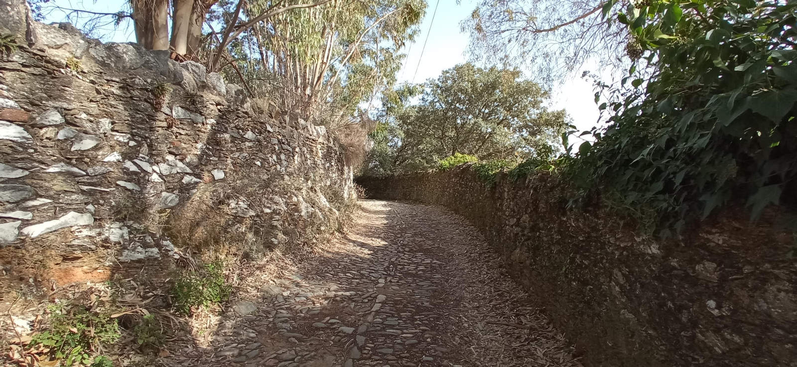 Las imágenes de la ruta de la Dehesa de Valdelama: De Los Marines a Fuenteheridos y vuelta