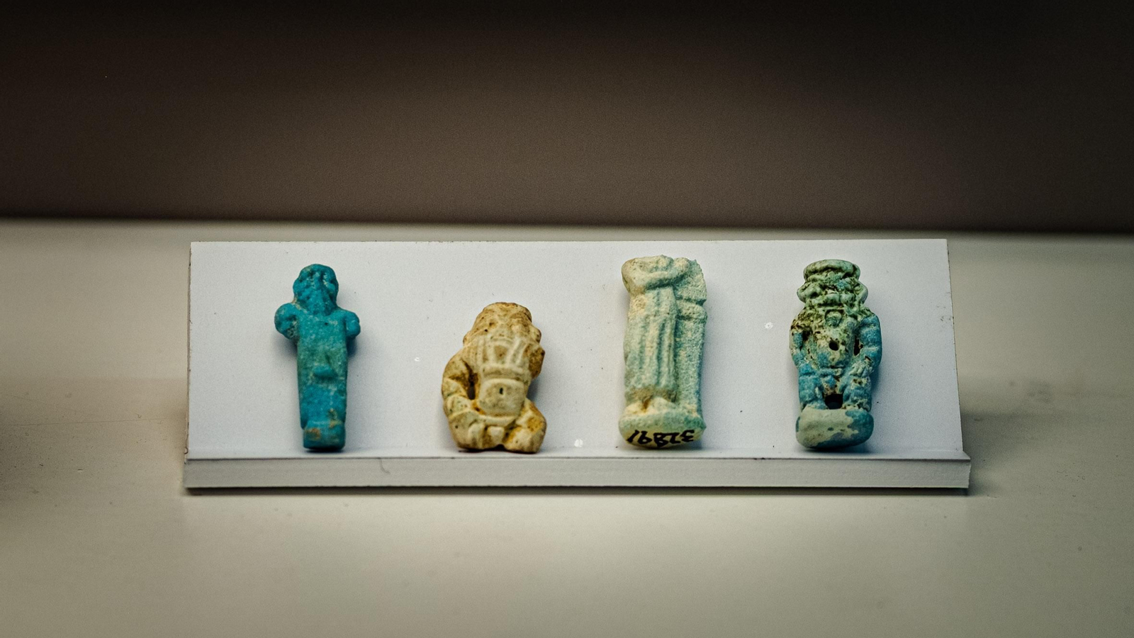 Las imágenes de la exposición VRBS IVLIA GADITANA en la Casa Pinillos del Museo de Cádiz