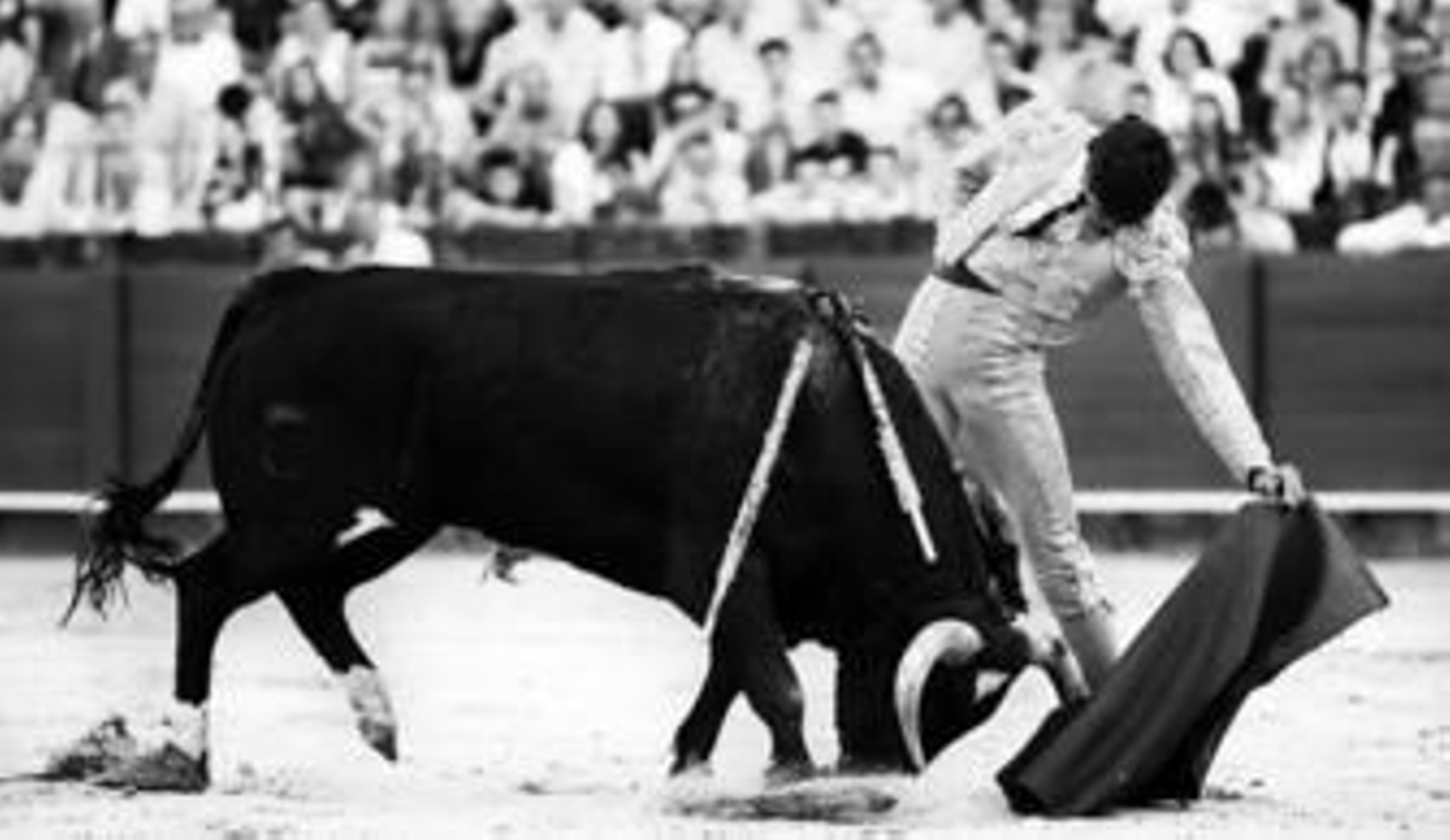 Agustín de Espartinas en un espléndido natural al cuarto novillo, de Herederos de Salvador Guardiola, que embistió con clase y humillación.