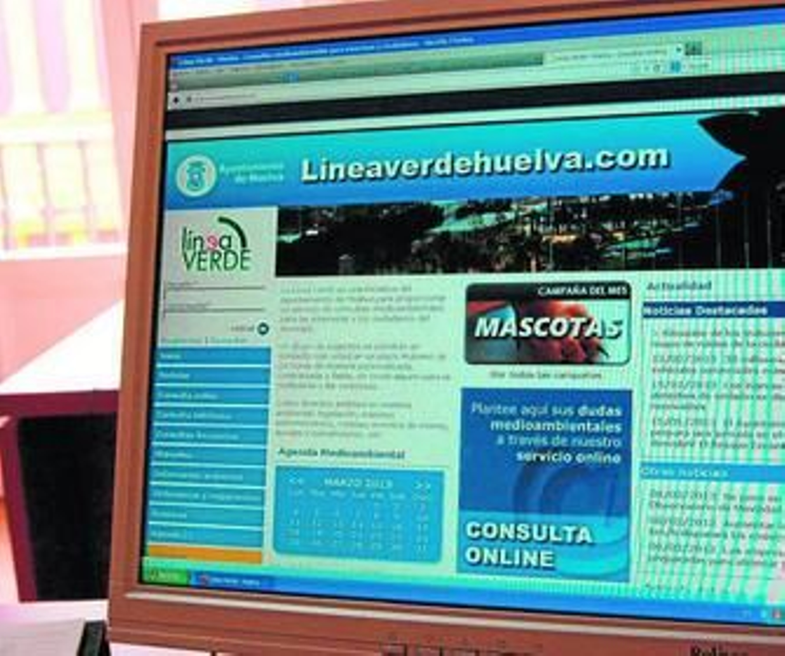 Portal de la Línea Verde en internet.