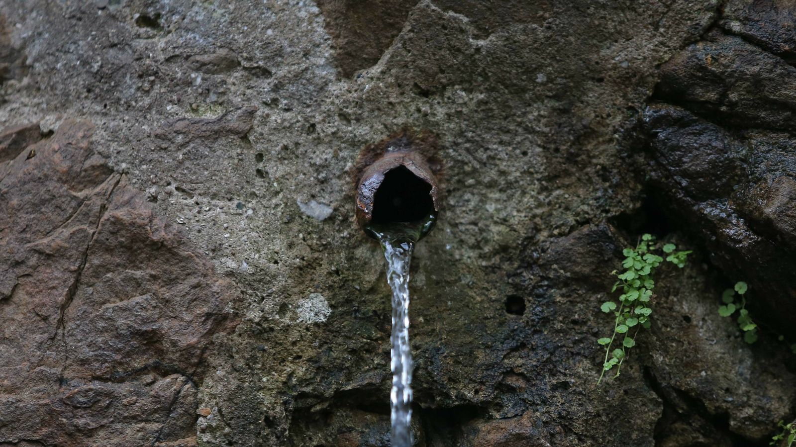 Las mejores fotos del sendero del Río de la Miel
