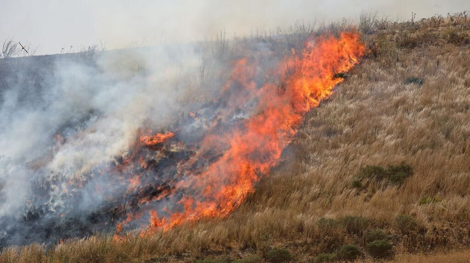 Grave incendio en la campiña de Jerez