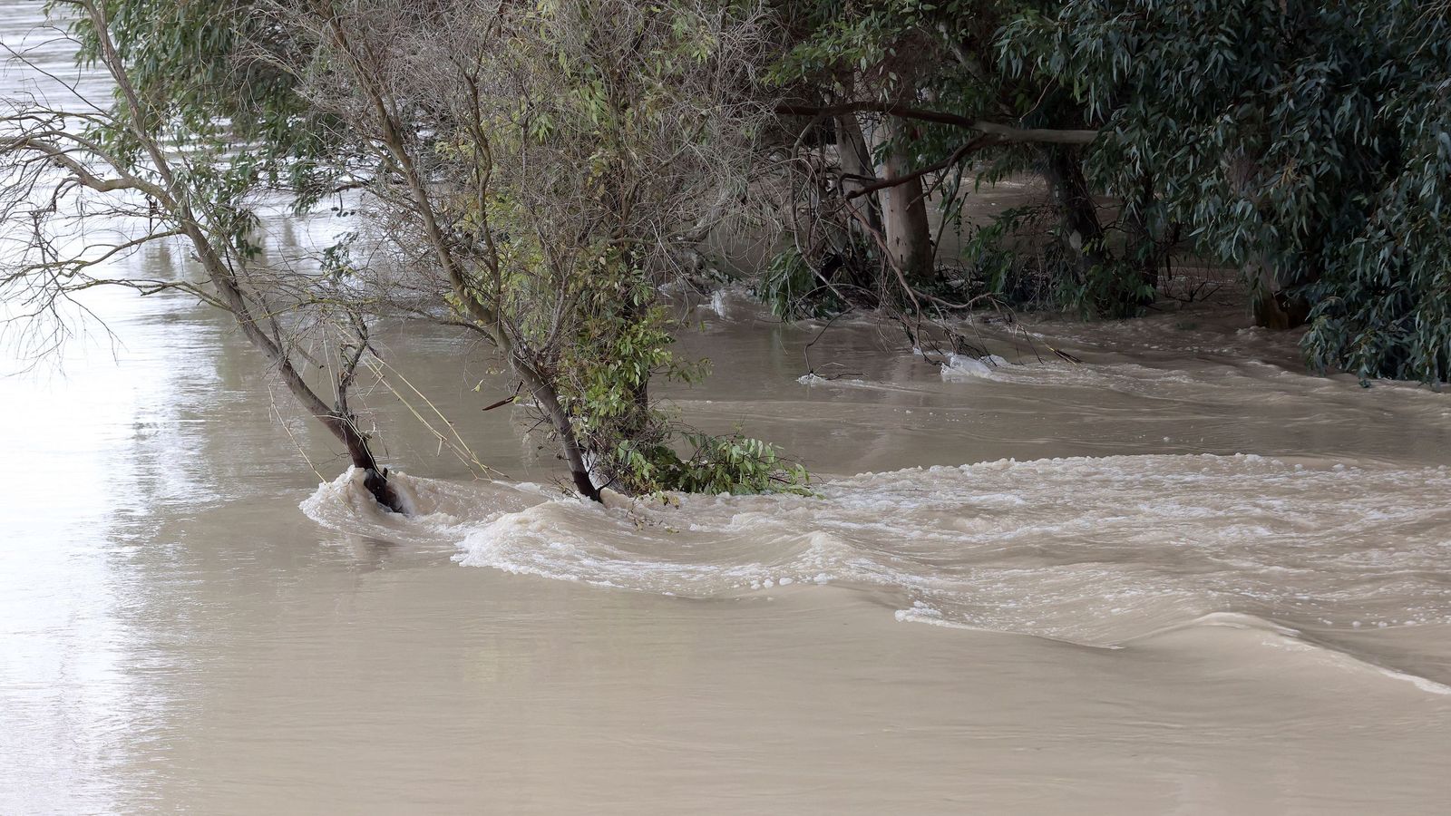 El Guadalete comienza a bajar su nivel poco a poco por la zona rural de Jerez
