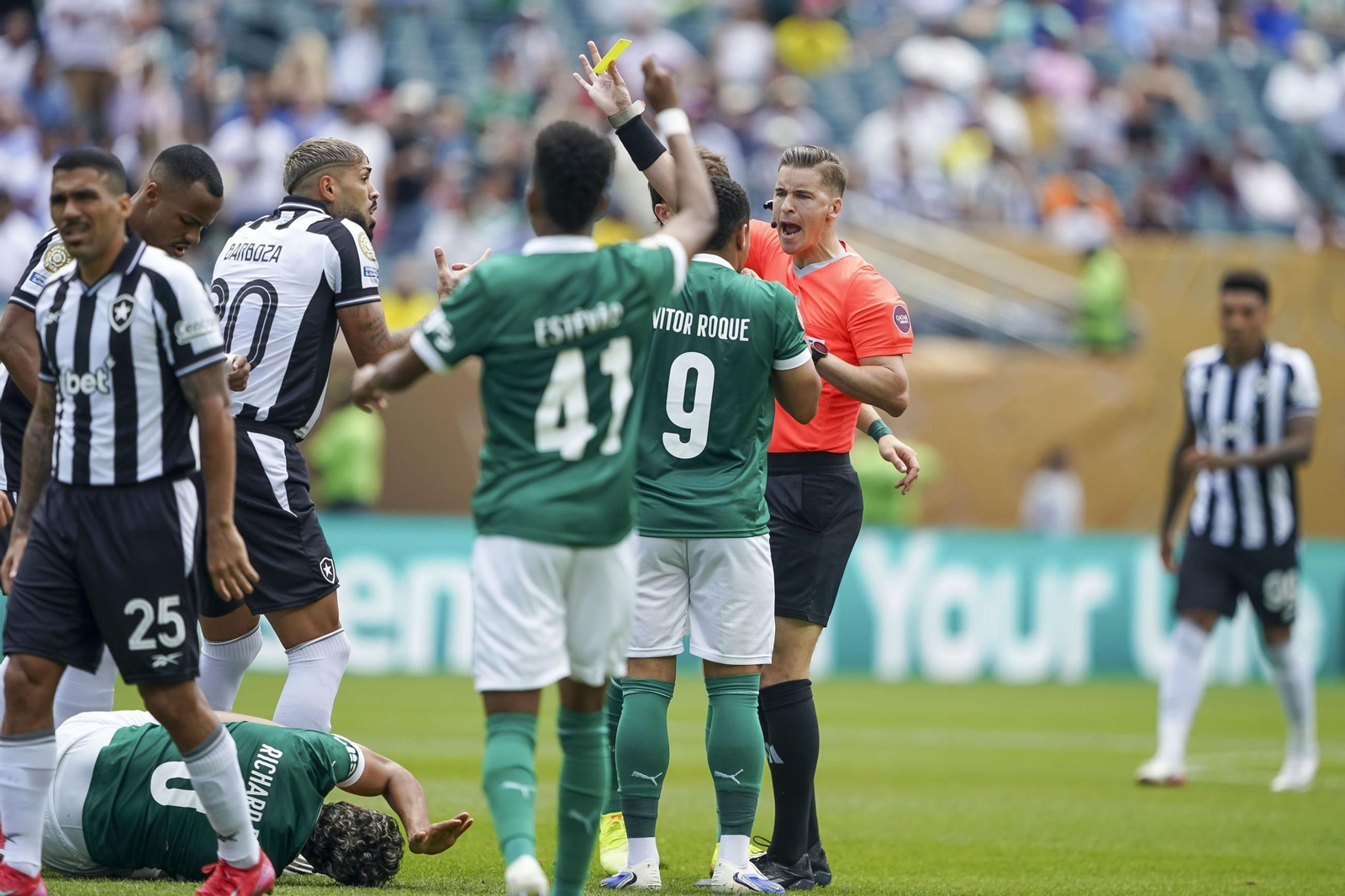 Palmeiras-Botafogo (60).jpg