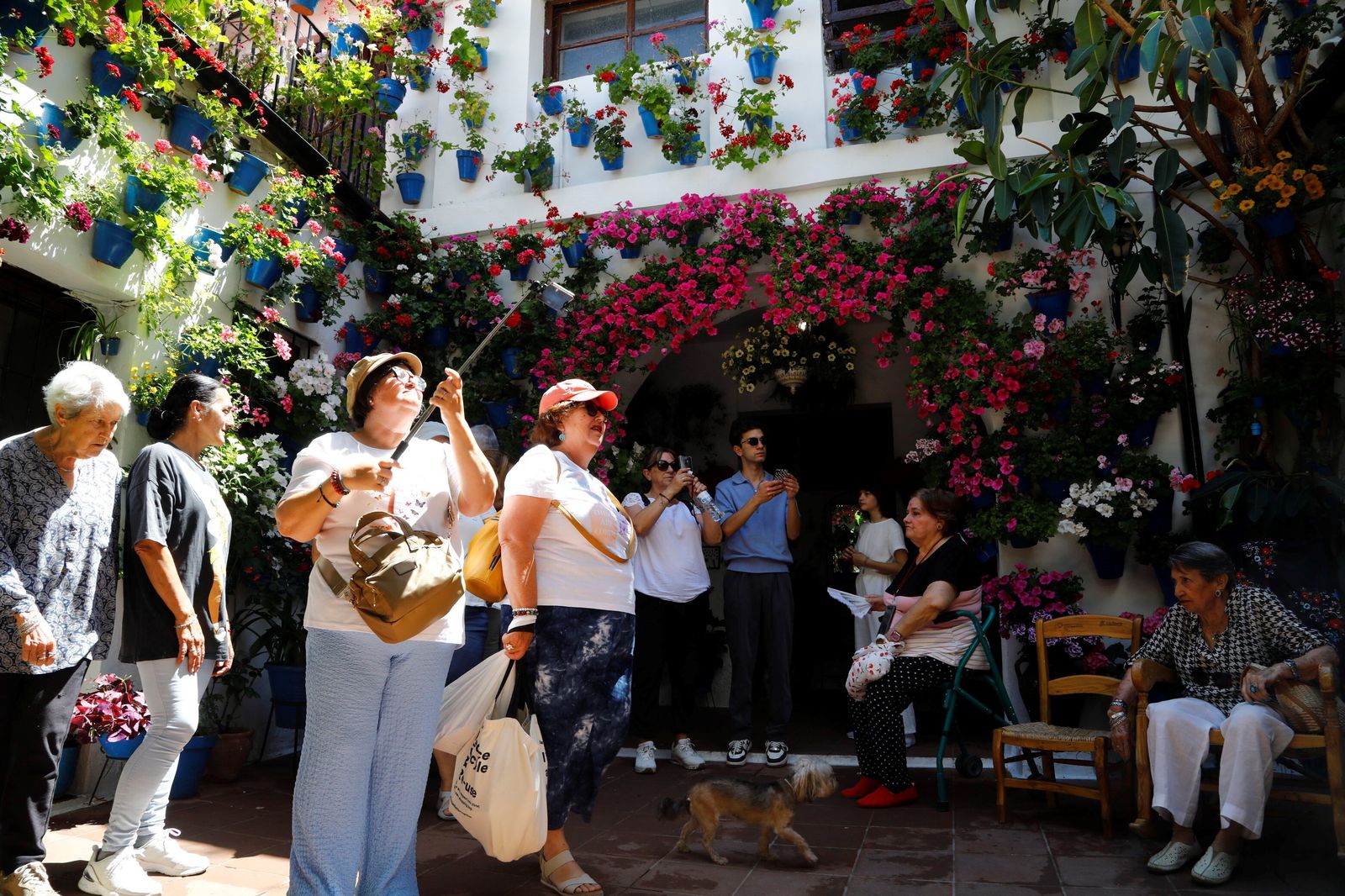 Las colas en el último sábado de Patios de Córdoba, en imágenes