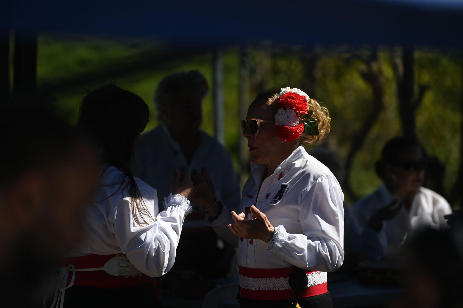 La Vega de Mestanza se reivindica al ritmo de los verdiales