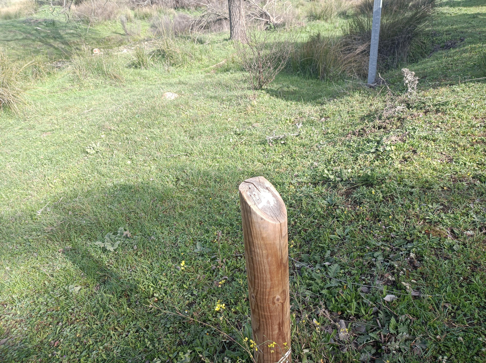 Fotos de la georruta de La Lobera