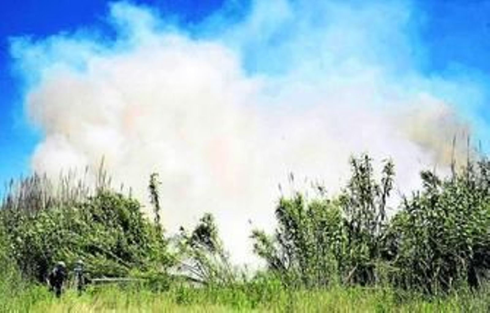 Dos bomberos tratan de apagar el fuego en el cañaveral.