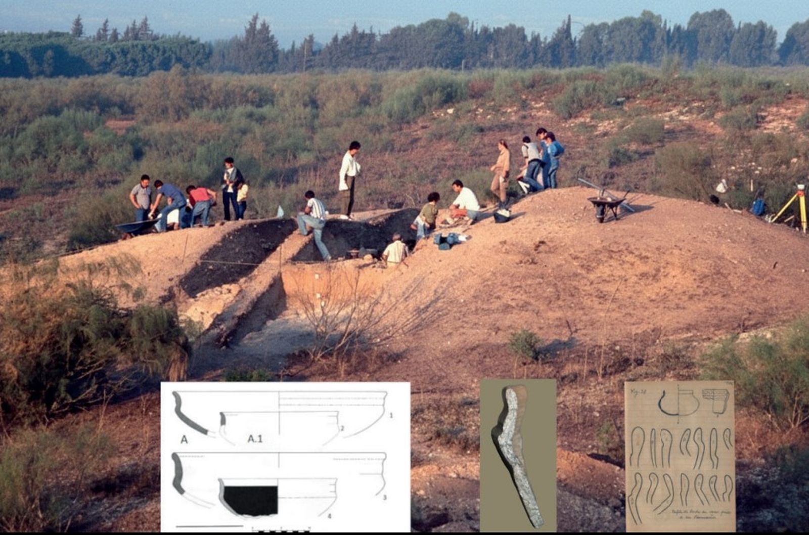 Imagen de archivo de trabajos en Doña Blanca.