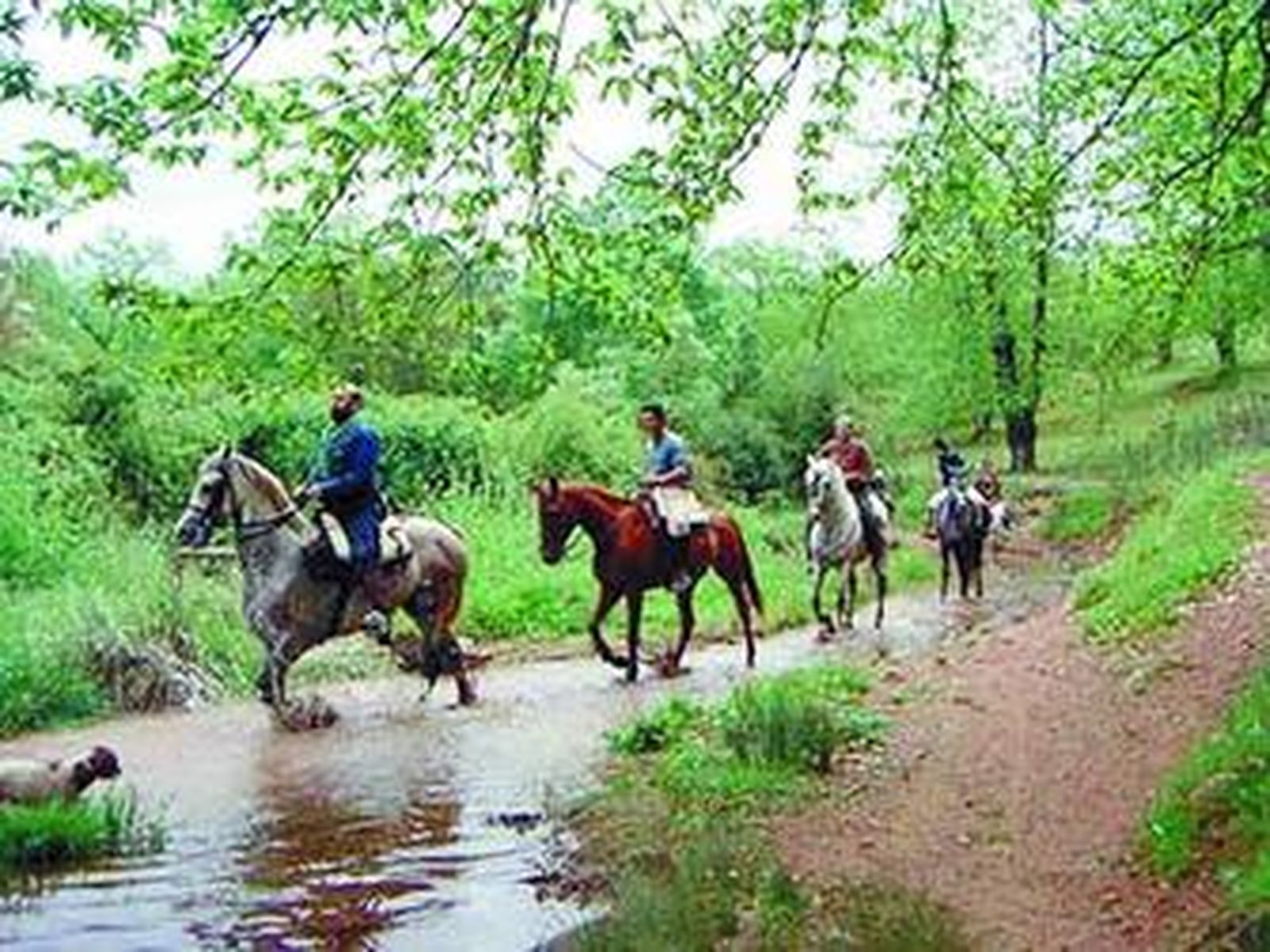Salida a caballo con Equus Utrera