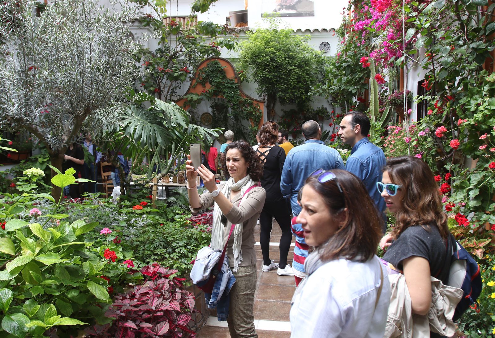 Ambiente en los patios ganadores de 2017