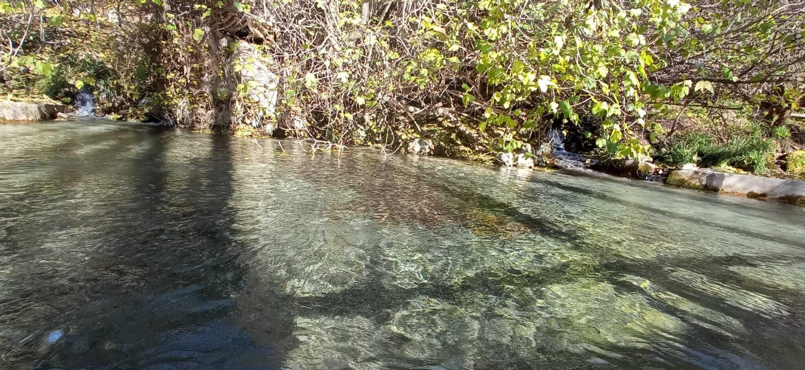 Las imágenes de la ruta del Bosque Encantado de Higueras