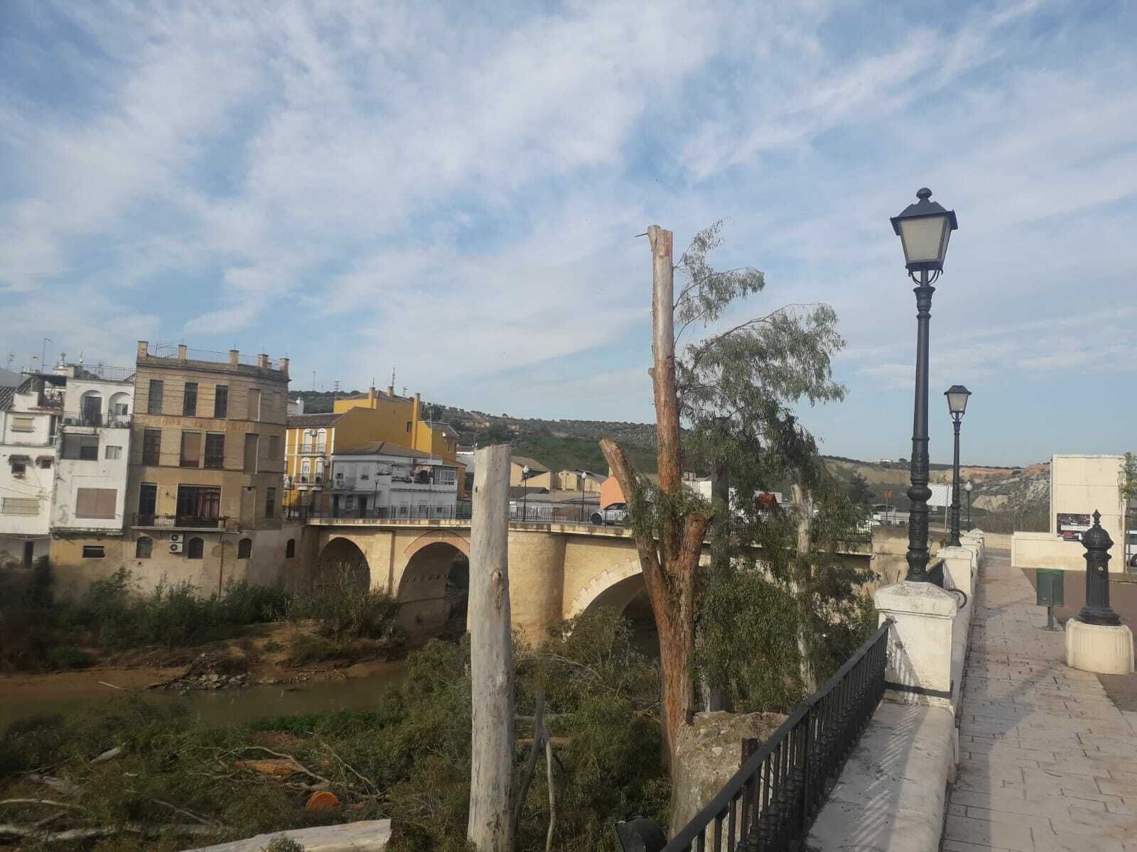 Vista del puente de Miragenil desde la Plaza Nacional tras la tala de los eucaliptos.