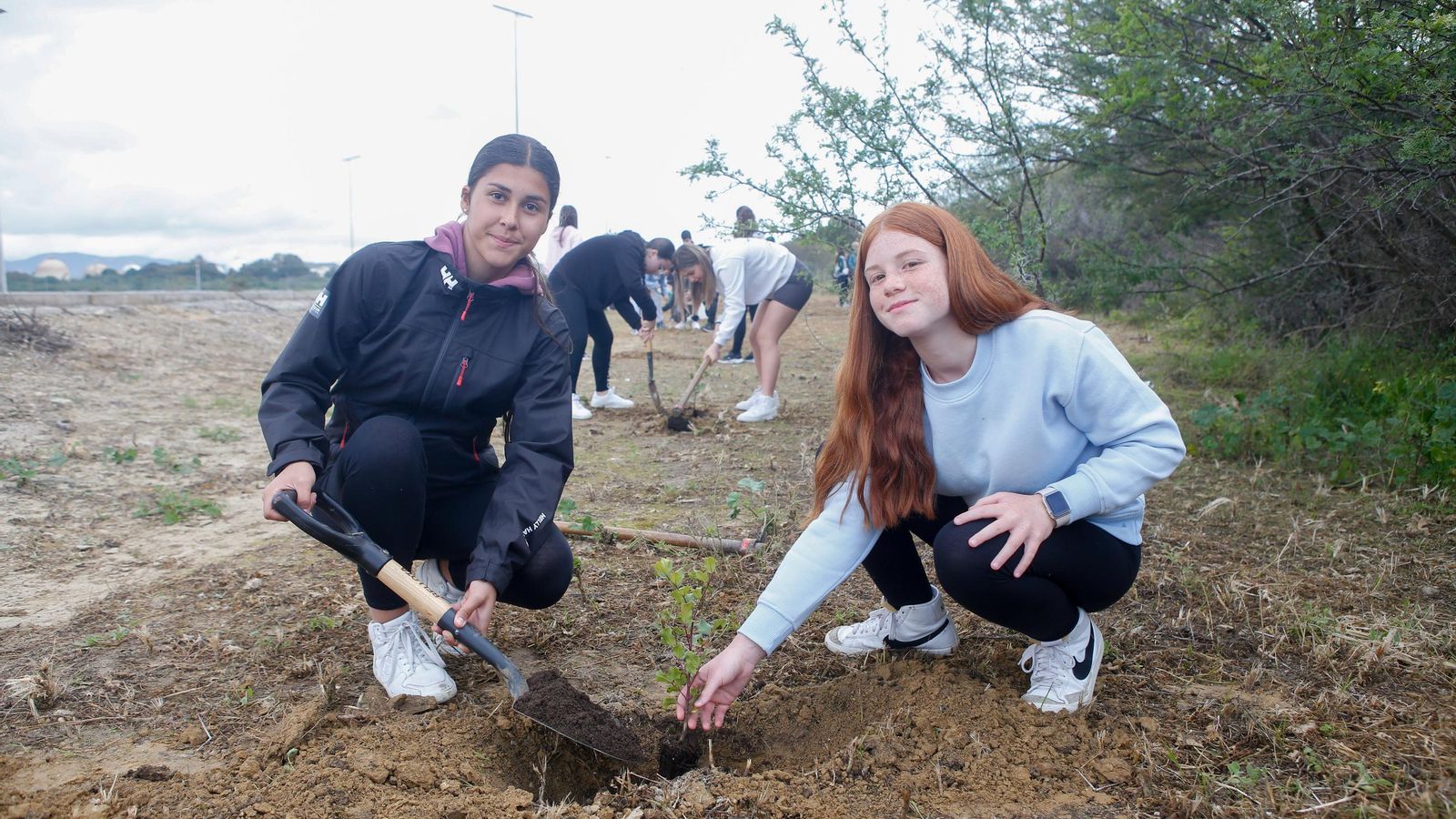 Fotografías de la plantación del programa 'Reverdece' de Acerinox Fotografías de la plantación del programa 'Reverdece' de Acerinox