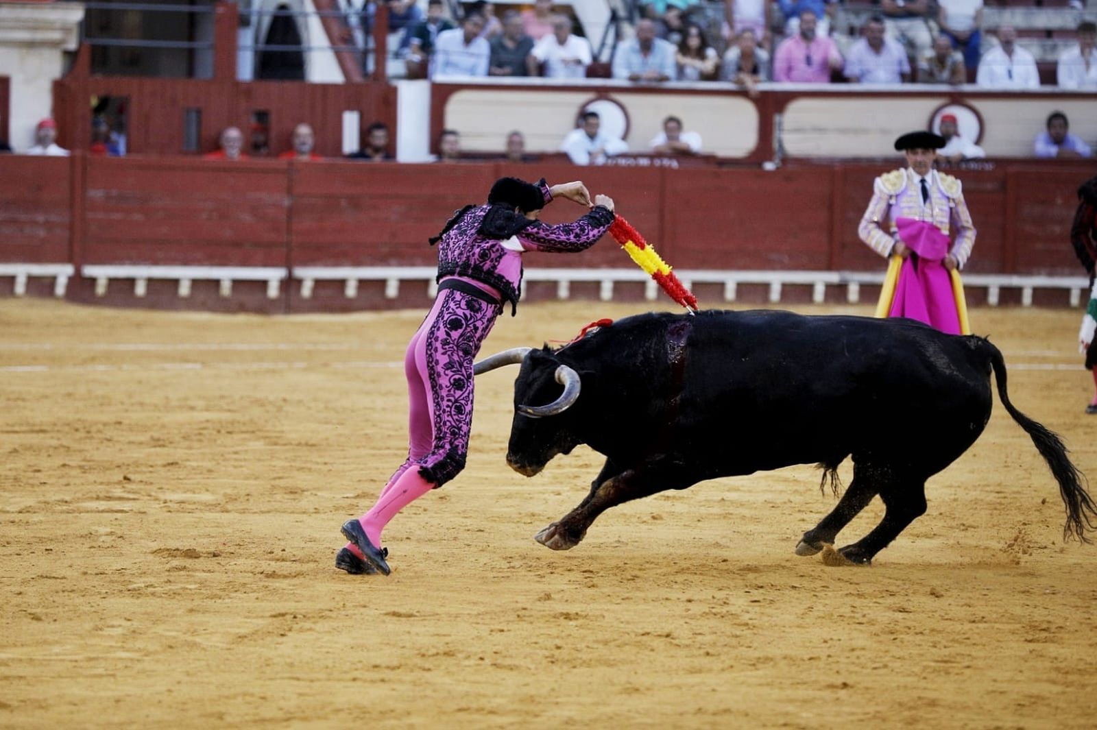 Imágenes de la despedida de Enrique Ponce en la plaza de toros de El Puerto