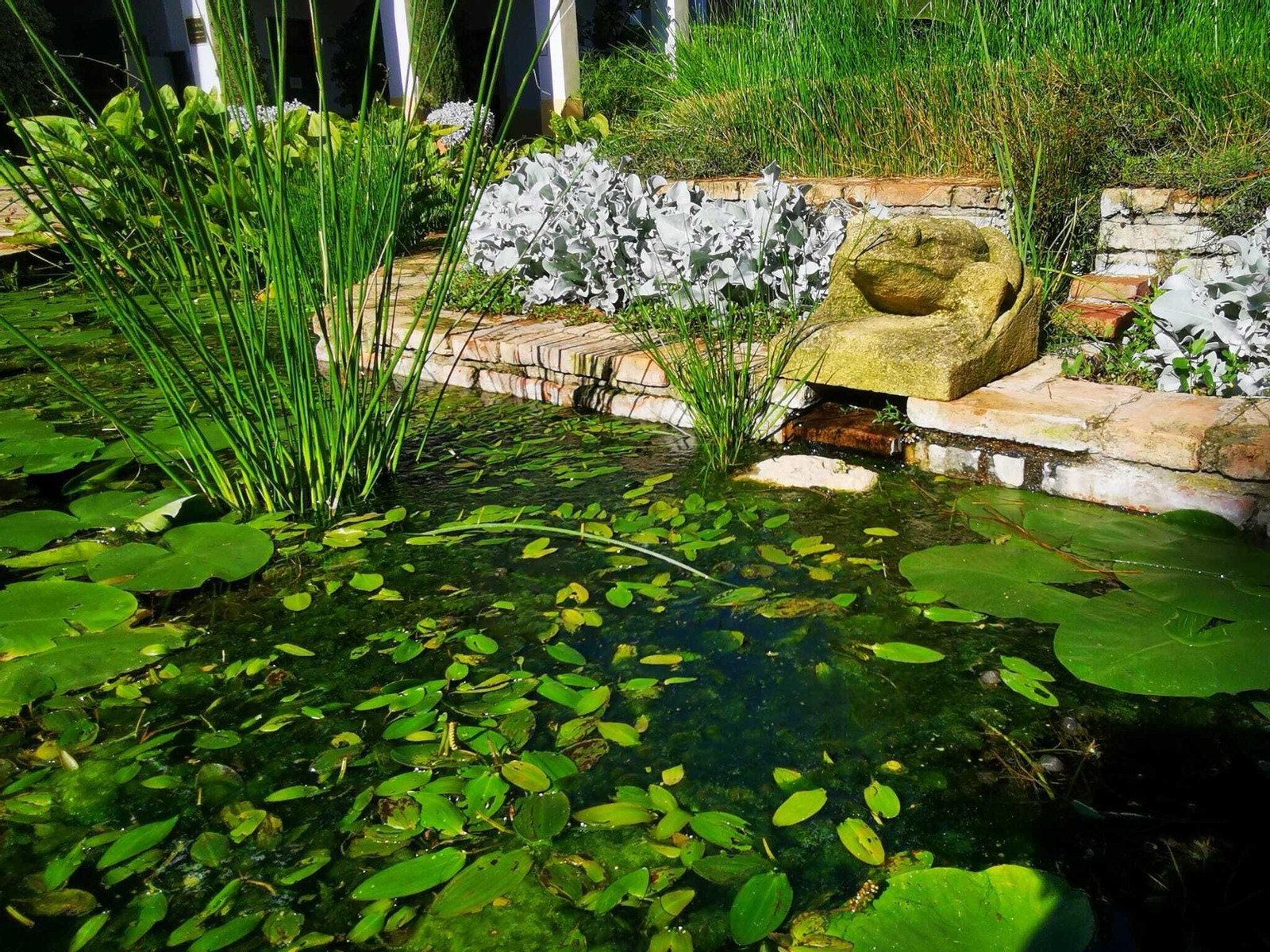 La noche de los martes estará dedicada a los más pequeños de la casa en el Jardín Botánico