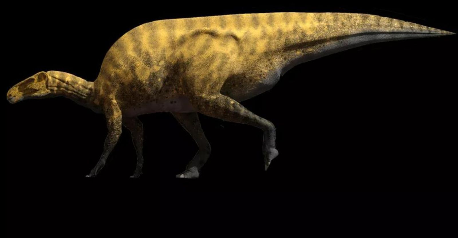 El 'Portellsaurus sosbaynati'