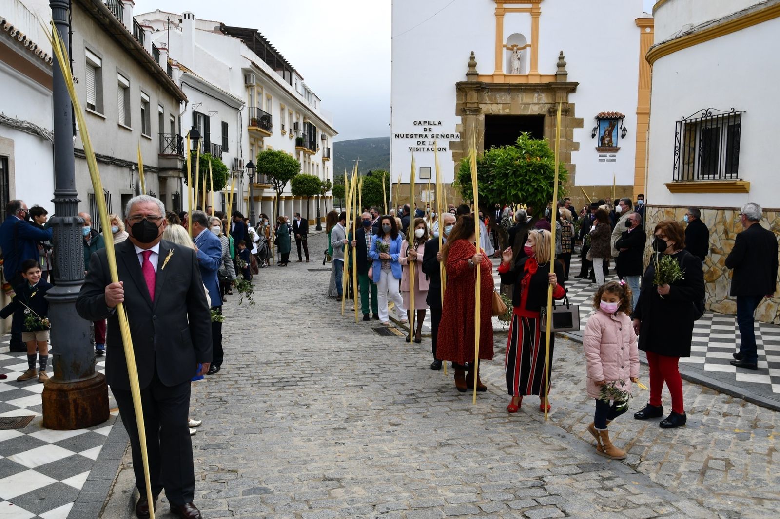 Las fotos del domingo de palmas y olivos en San Roque