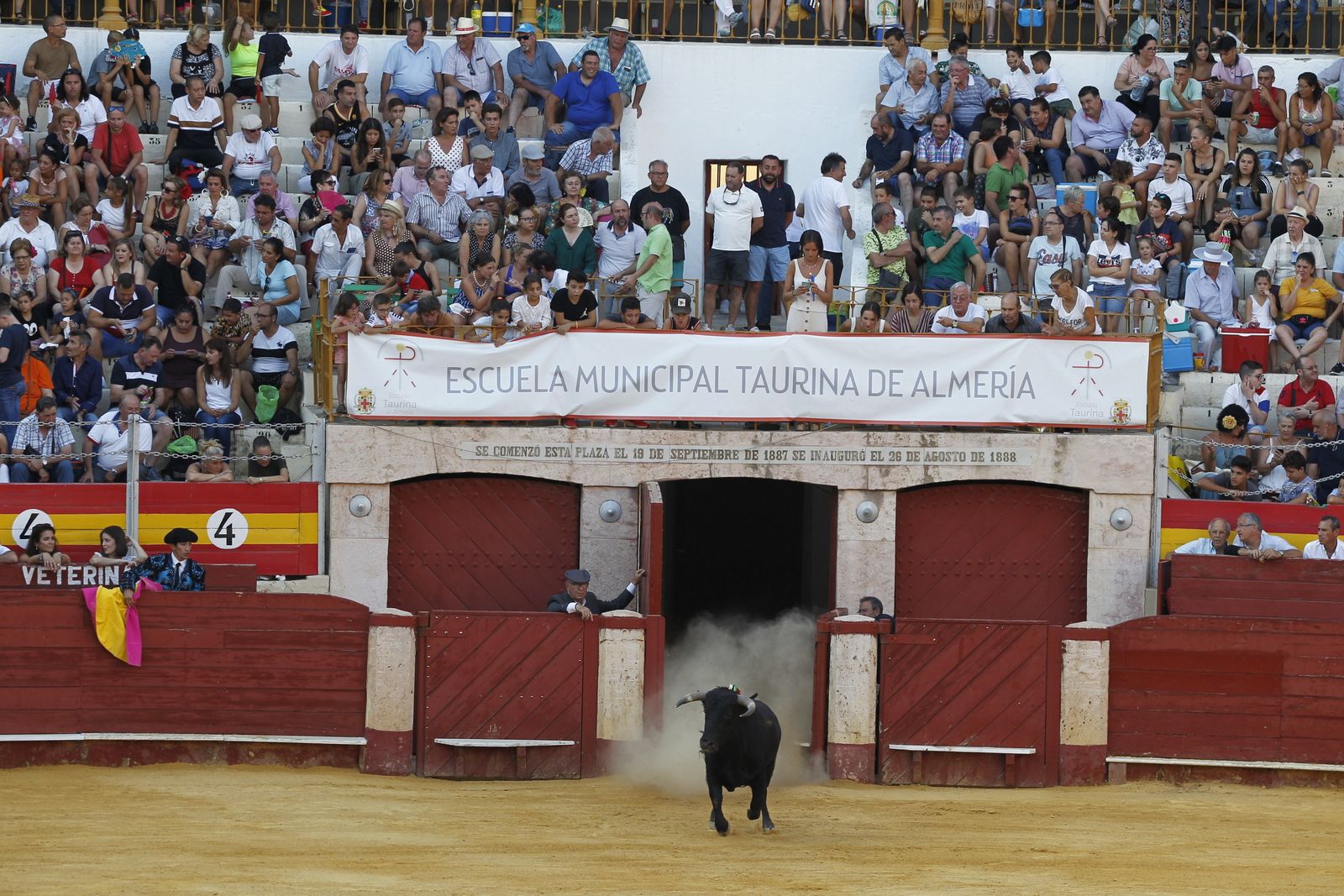 Fotogalería novillada Escuela Taurina de Almería. Feria de Almería 2019