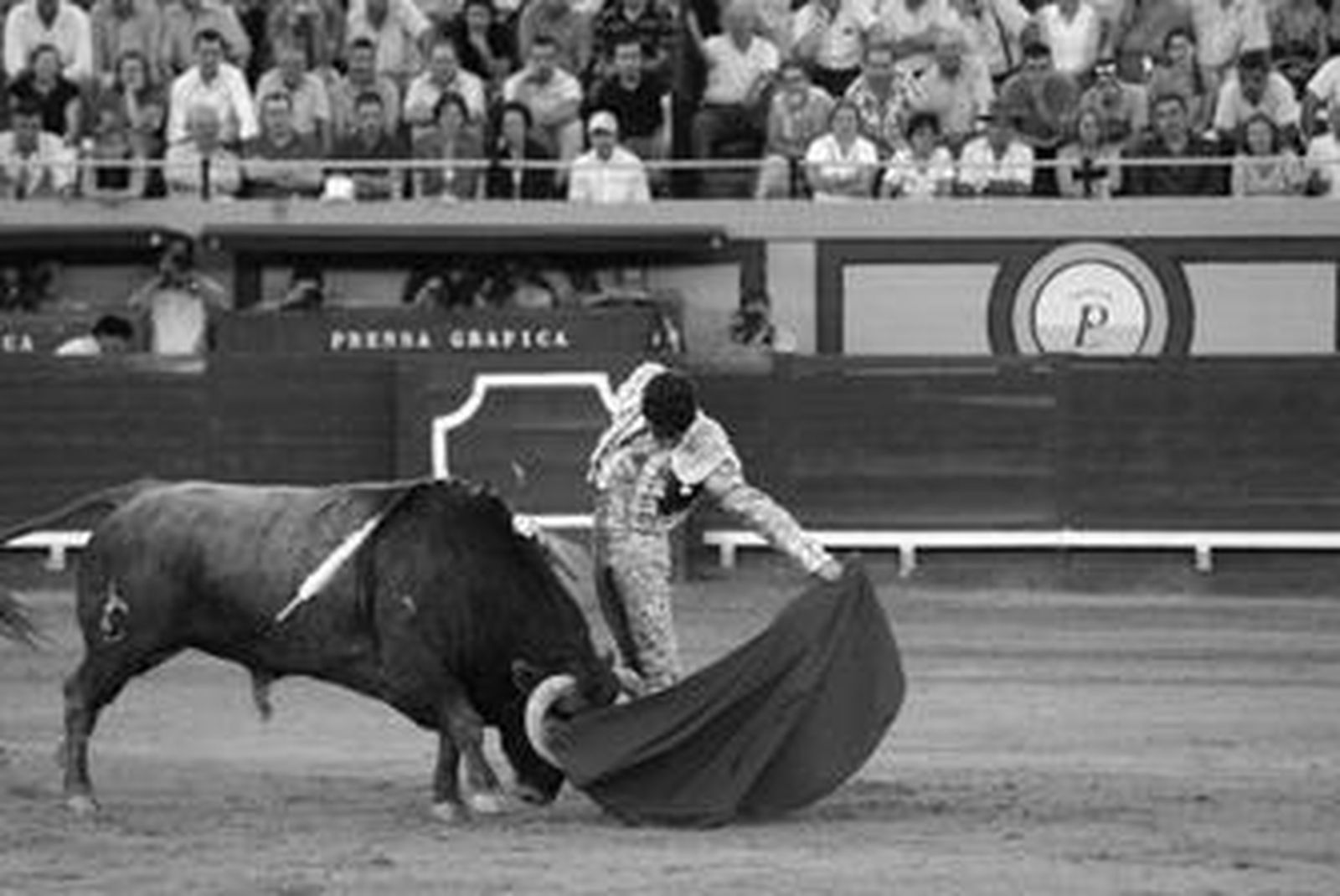 El diestro José Tomás toreando al natural en la feria de 2007 a un toro con el hierro de Algarra.
