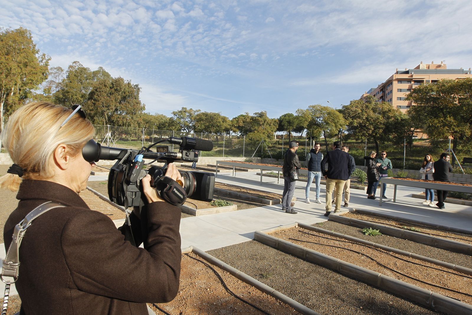 Huerto urbano de Colonia de Araceli