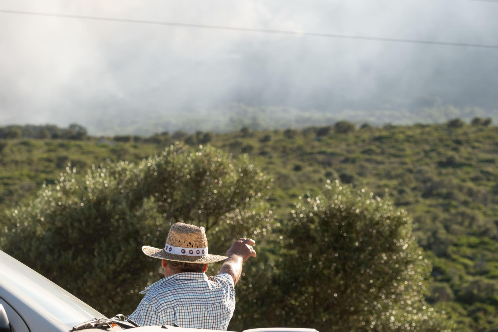 Los efectos del devastador incendio en el paraje monte de La Peña, en imágenes