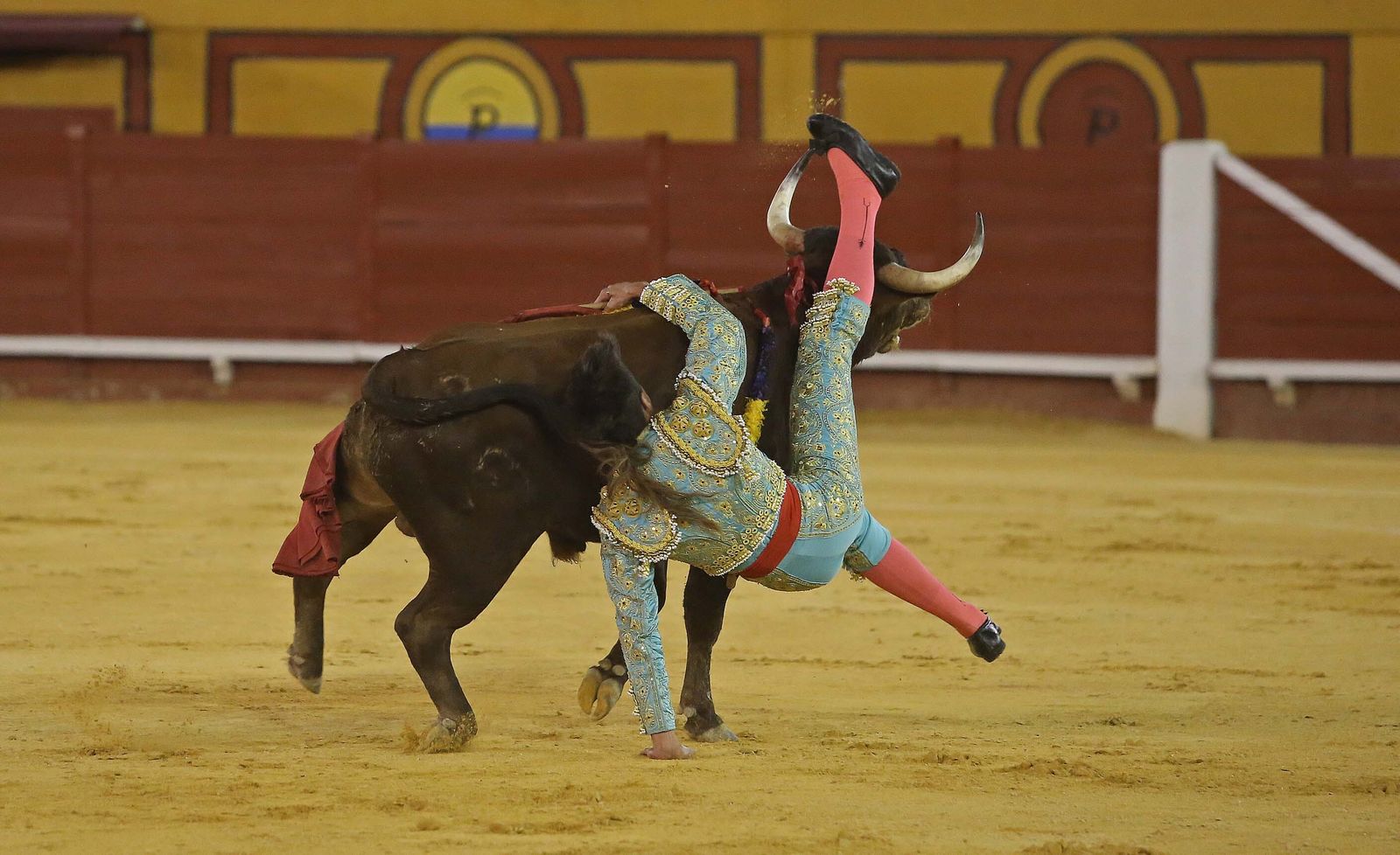 La novillada de Miguelín que abre la feria de Algeciras, en imágenes