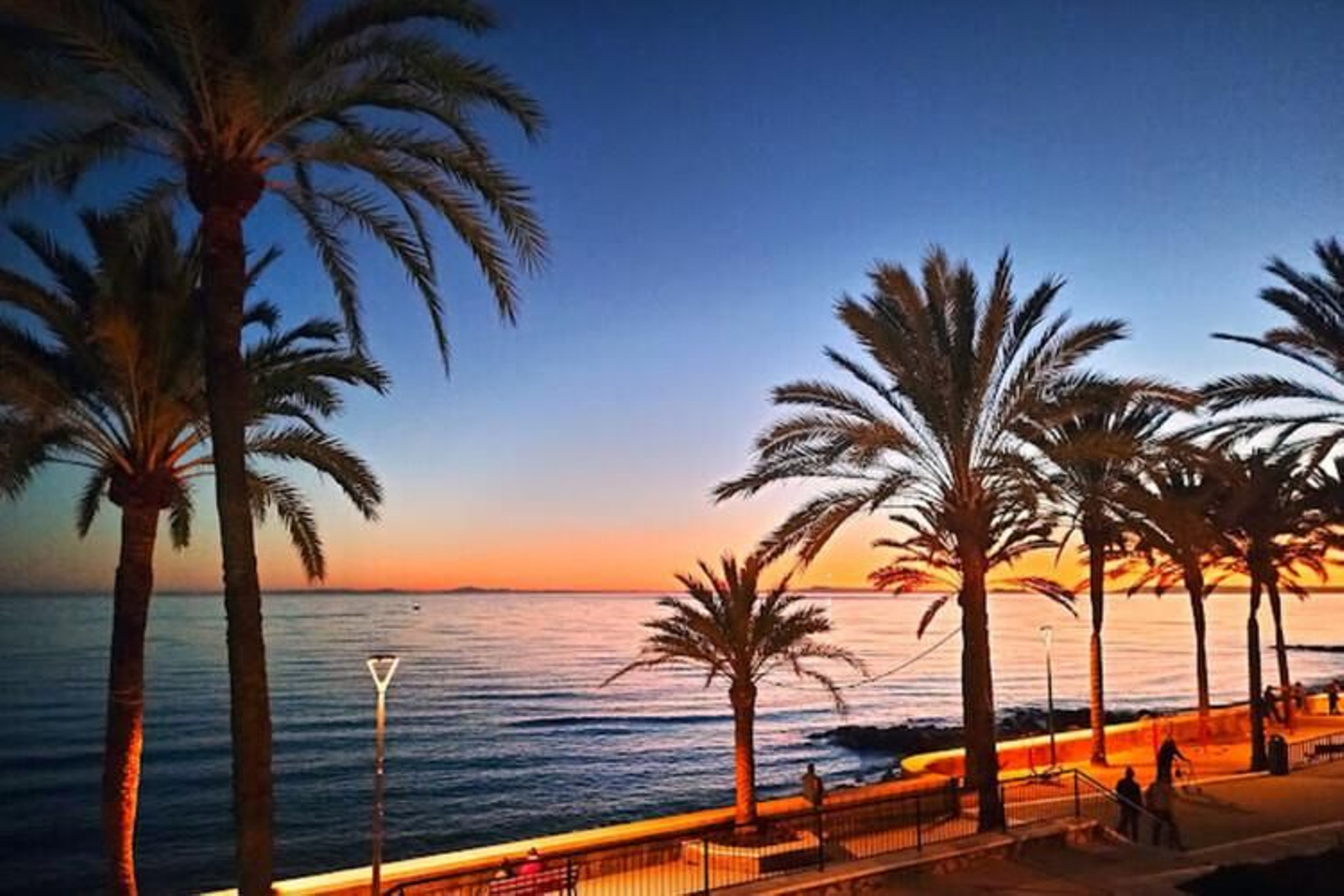 Andromedi, líder nacional en salud sexual masculina, abre un nuevo centro en Marbella