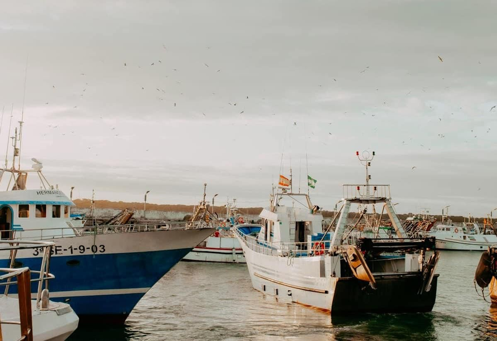 Lonja de Bonanza, en Sanlúcar (Cádiz).