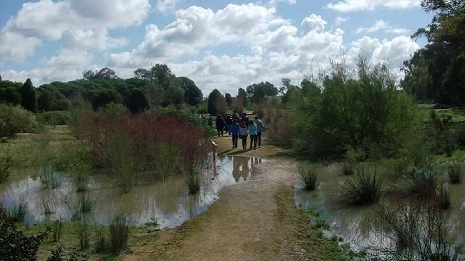 Una visita al Jardín Botánico Dunas de Odiel