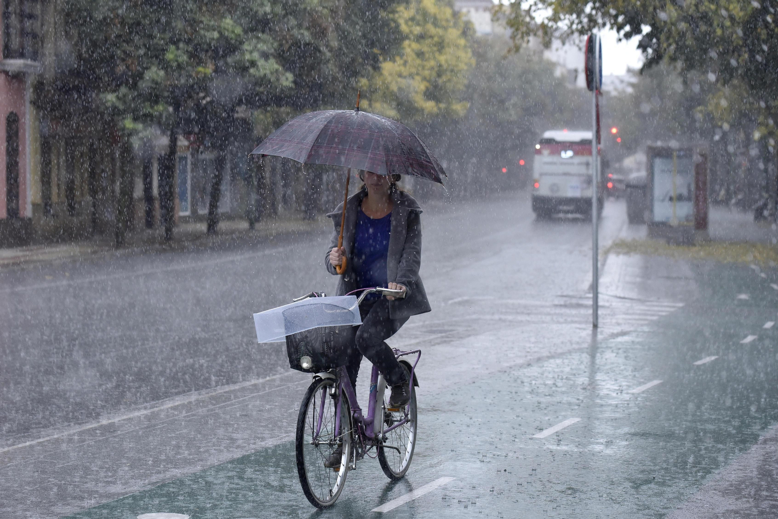 Las fuertes lluvias en Sevilla, en imágenes