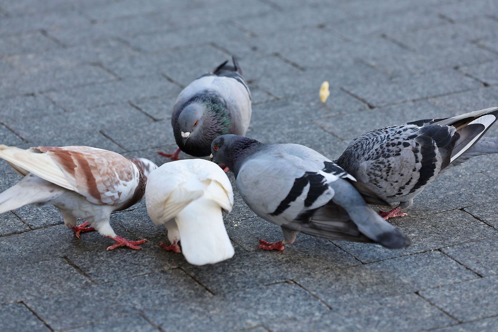Las imágenes más destacadas del lunes 6 de enero en Huelva