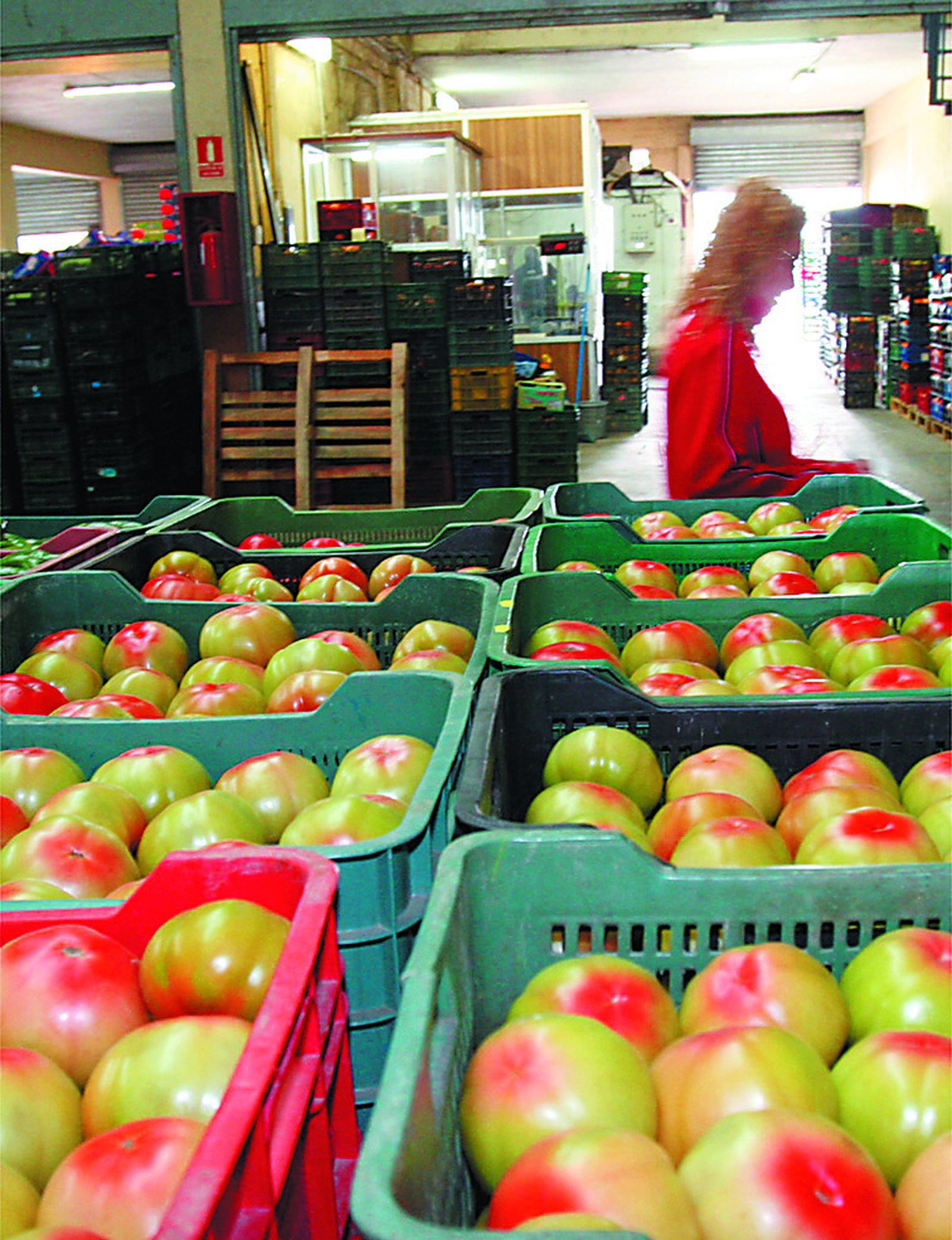 Imagen del interior de las instalaciones de Mercajerez.