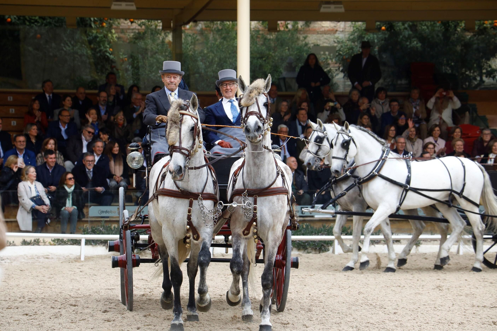La exhibición de enganches en Caballerizas Reales de Córdoba, en imágenes