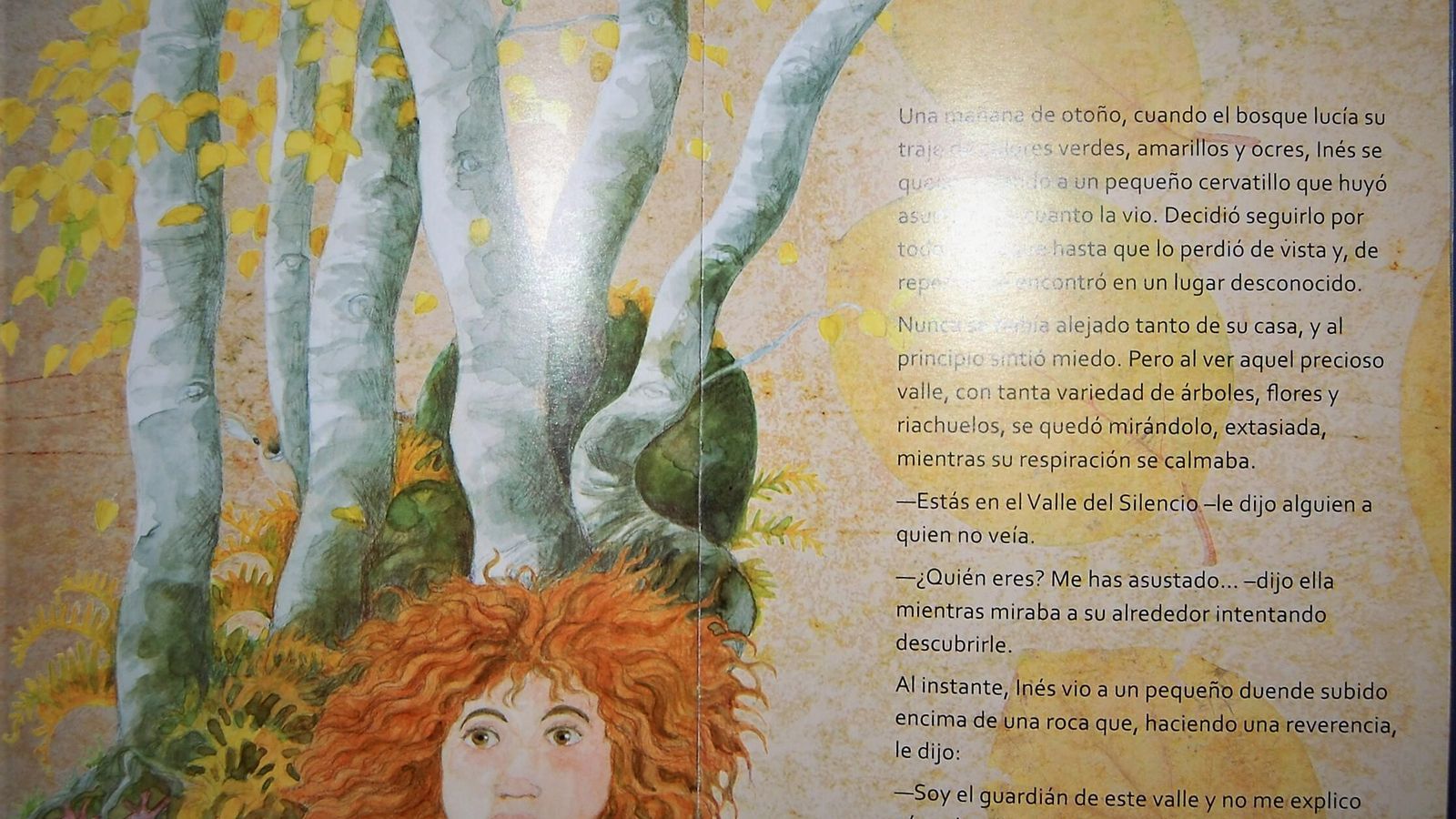 Interior del libro.