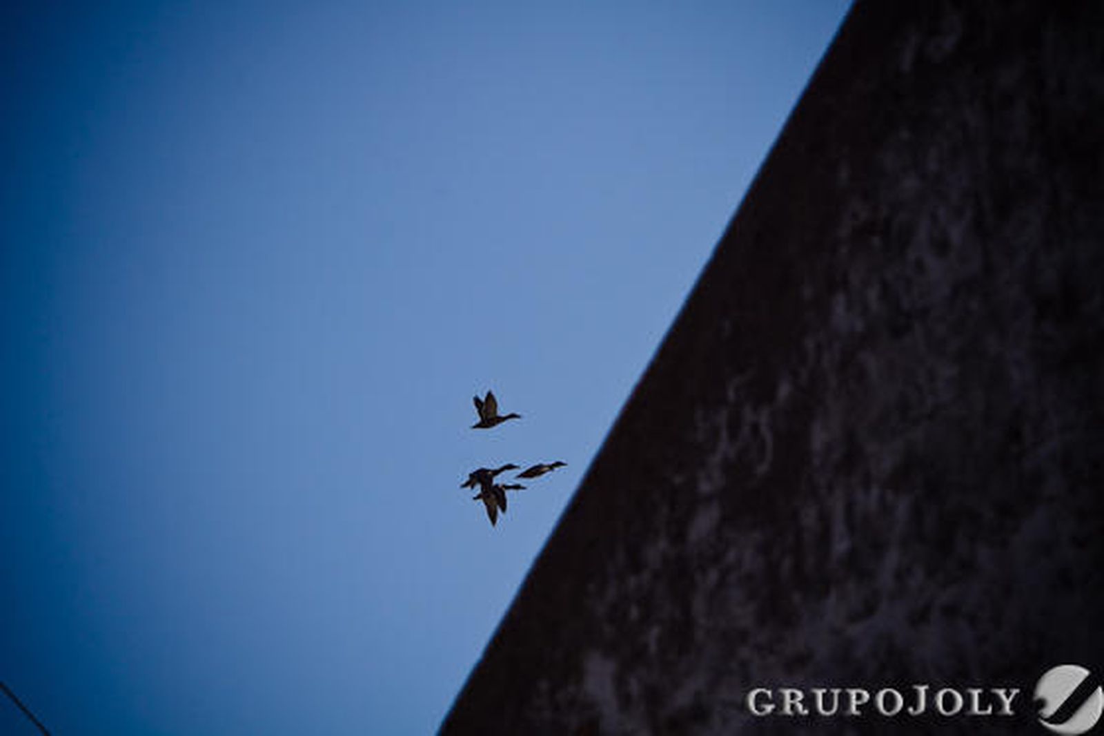 Foto: Lourdes de Vicente