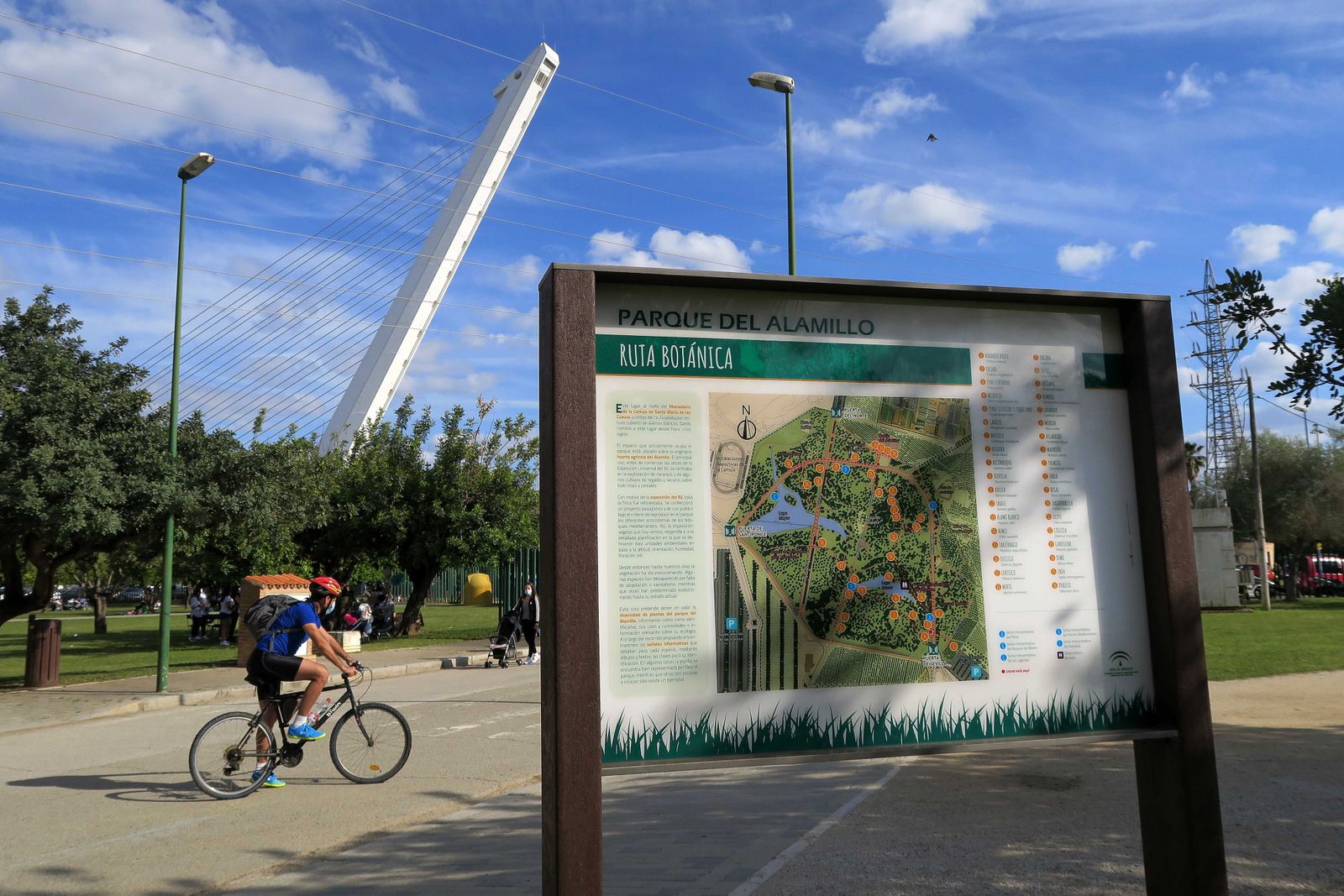 La jornada festiva comenzará a las 10:30, con una ruta botánica por el Parque del Alamillo.