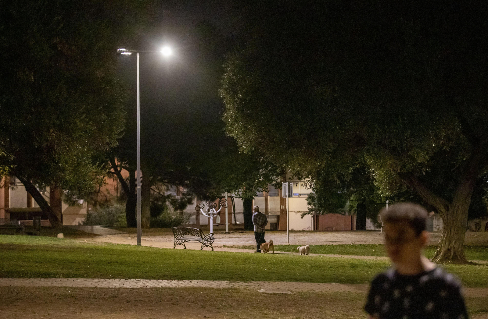 Alumbrado en el Parque de los Olivos.