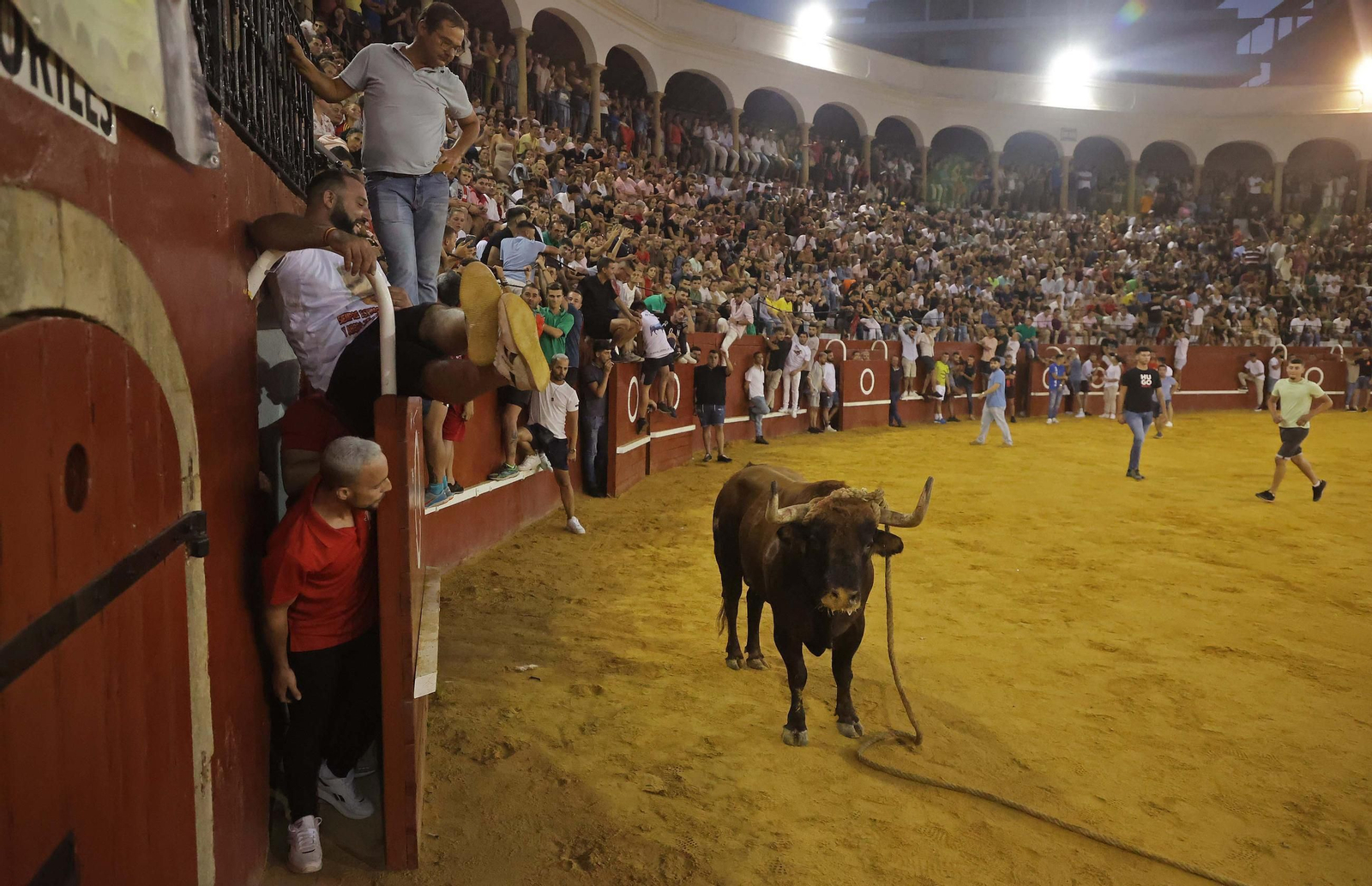 Las mejores fotos del Toro del Aguardiente en San Roque