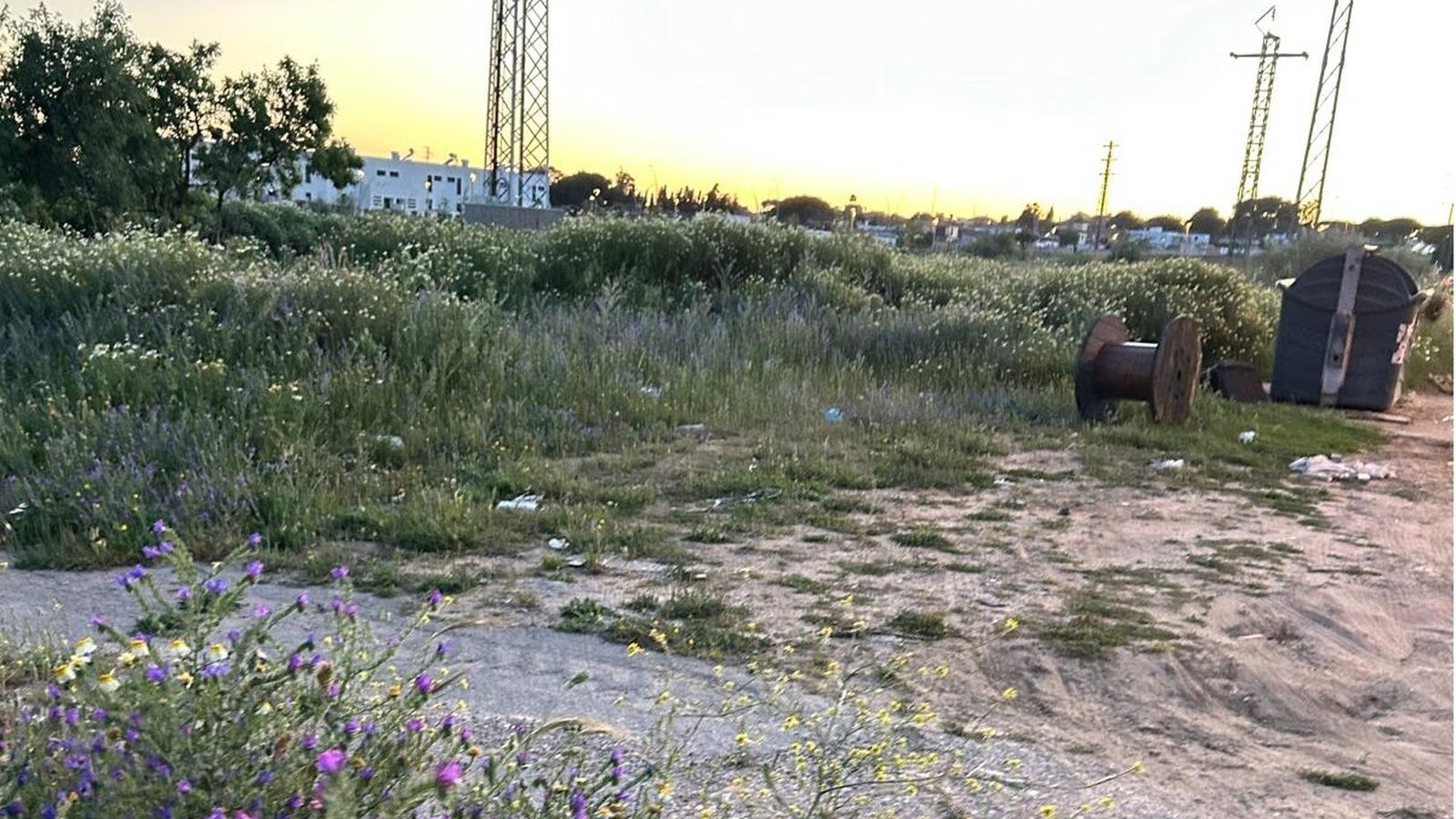 Otra imagen del parque.