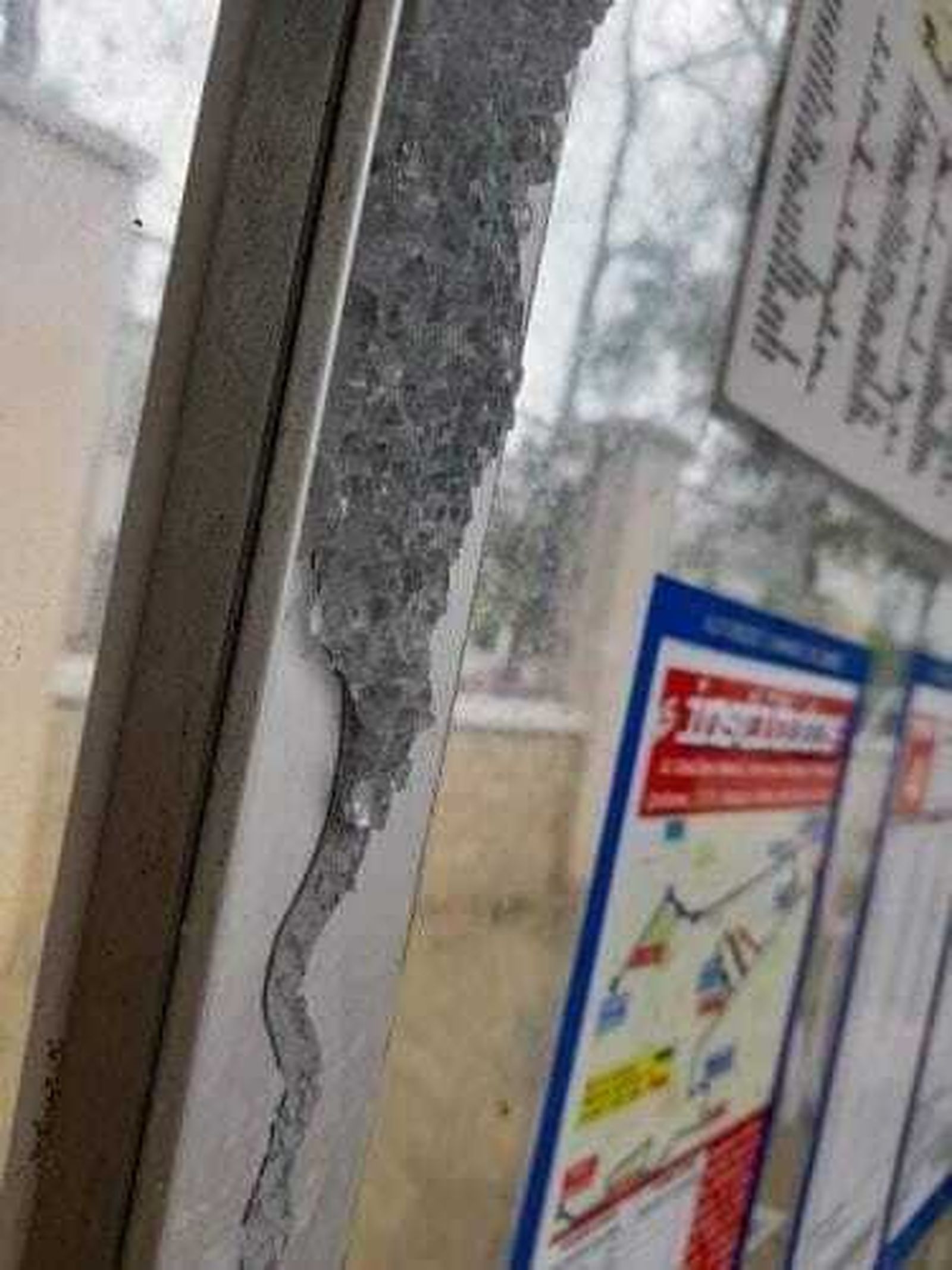 Estado de la marquesina ubicada junto al Coloma.